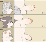 anthro balls chart foreskin genitals glans male penis penis_chart slightly_chubby young yun_bino bear canid canine canis domestic_dog felid husky mammal nordic_sled_dog pantherine polar_bear snow_leopard spitz ursine hi_res