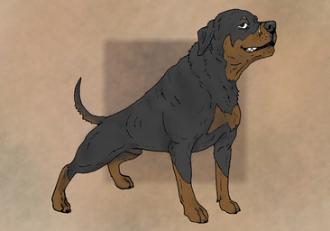 animal_genitalia black_body black_claws black_fur black_nose brown_eyes brown_markings brown_socks_(marking) claws feral fully_sheathed fur genitals looking_aside_at_viewer male markings sheath simple_background solo tan_background caninsector canid canine canis domestic_dog mammal mastiff molosser rottweiler 2026