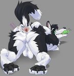 anthro anus backsack balls digitigrade genitals male presenting raised_tail solo spread_anus spreading tail conditional_dnp mej skuru_(character) border_collie canid canine canis collie domestic_dog herding_dog mammal pastoral_dog sheepdog absurd_res hi_res