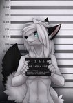 anthro black_body black_fur blue_eyes breasts claws clenched_teeth fangs female fluffy fluffy_tail fur hair holding_object holding_sign jail_placard mugshot number open_mouth open_smile placard sign simple_background smile solo tail teeth white_body white_fur white_hair tashalisets tasha_lisets canid canine fox mammal hi_res