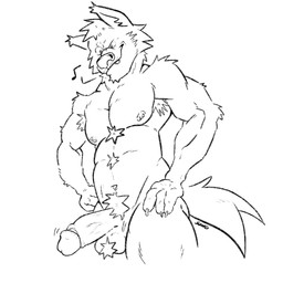 anthro armpit_hair ball_tuft balls biceps bite biting_lip biting_own_lip body_hair butt chest_hair erection fur genitals hair humanoid_genitalia humanoid_penis looking_pleasured male muscular muscular_male nipples nude pecs penis pubes self_bite sharp_teeth simple_background smile solo tail teeth tuft whistling sowo canid canine canis mammal wolf 1:1 digital_media_(artwork) hi_res monochrome