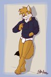 anthro black_clothing black_hoodie black_topwear briefs bulge clothing detailed_bulge drawyourfursona genital_outline hoodie hoodie/briefs_meme male penis_outline solo standing topwear underwear white_clothing white_underwear juanatoq meme_clothing canid canine fox mammal 2:3 absurd_res hi_res meme