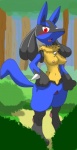 anthro anthrofied black_body black_fur blue_body blue_fur blush breasts canid canine cula female fur generation_4_pokemon genitals hi_res lucario mammal nintendo nipples pokemon pokemon_(species) pokemorph pussy red_eyes solo tail yellow_body yellow_fur