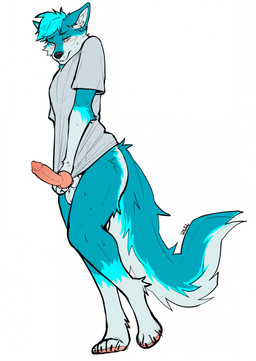animal_genitalia animal_penis anthro balls bedroom_eyes blue_body blue_fur blush bodily_fluids canine_genitalia canine_penis clothing clothing_pull embarrassed erection femboy flustered fur genitals knot knotted_penis lidded_eyes looking_at_viewer male male_anthro narrowed_eyes penis seductive sheath shirt shirt_pull shy simple_background solo standing sweat sweatdrop topwear topwear_pull white_background freakdan1el canid canine canis mammal wolf hi_res