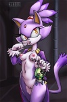 anthro breasts female genitals navel nipples pussy solo tail hj800z sega sonic_the_hedgehog_(series) blaze_the_cat domestic_cat felid feline felis mammal