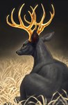 antlers black_body black_ears black_fur black_nose copyright_symbol feral fur grass horn plant solo symbol text yellow_antlers chiakiro deer mammal 2021 digital_media_(artwork) digital_painting_(artwork) url