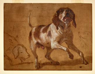 balls claws digitigrade feral finger_claws floppy_ears folded_ears genitals male male_feral mottled paws penis piebald quadruped simple_background solo standing tail toe_claws jean-baptiste_oudry public_domain canid canine canis domestic_dog mammal 18th_century absurd_res ancient_art charcoal_(artwork) hi_res huge_filesize mixed_media oil_painting_(artwork) painting_(artwork) sketch sketch_page traditional_media_(artwork) traditional_painting_(artwork)