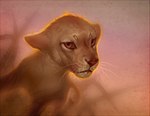 ears_down feral looking_at_viewer male pivoted_ears short_ears simple_background solo whiskers young young_feral katanimate disney the_lion_king simba_(the_lion_king) felid lion mammal pantherine digital_media_(artwork) watermark