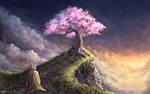 ambiguous_gender anthro biped cherry_blossom cherry_blossom_tree cherry_tree clothed clothing cloud detailed_background flower fruit_tree grass outside plant prunus_(flower) rear_view scenery sky solo star starry_sky topwear tree tomtc dr_rabbit_(tomtc) lagomorph leporid mammal rabbit 2018 dated hi_res