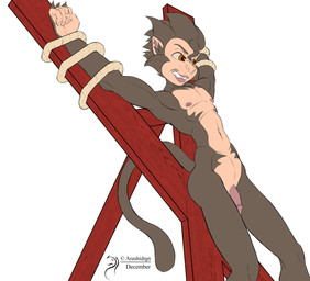 anthro bdsm biceps bondage bondage_furniture bound brown_body brown_fur femboy flaccid fur genitals hair hands_above_head humanoid_genitalia humanoid_penis male nipples nude penis saint_andrew's_cross simple_background solo spread_eagle submissive submissive_male arashidrgn zaos haplorhine mammal monkey primate 2016