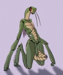 anthro arthropod arthropod_abdomen arthropod_abdomen_genitalia arthropod_abdomen_pussy bodily_fluids compound_eyes doomington dungeons_and_dragons female genital_fluids genitals green_body hasbro insect mantis ovipositor pussy queblock solo third-party_edit thri-kreen vaginal_fluids wizards_of_the_coast