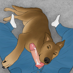bestiality bodily_fluids bottomwear brown_body brown_fur clothing cum denim denim_bottomwear denim_clothing duo eye_contact fellatio feral first_person_view footwear fur genital_fluids genitals head_on_lap human_on_feral human_pov humanoid_genitalia humanoid_penis interspecies jeans licking_cum looking_at_another lying_on_ground male male_on_feral male_pov on_ground on_lap oral orange_eyes pants penile penis penis_poking_out penis_through_fly realistic_feral sex sitting sitting_on_ground socks tongue tongue_out maklykan canid canine canis domestic_dog german_shepherd herding_dog human mammal pastoral_dog 1:1 hi_res