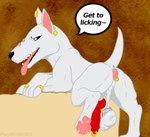 anal_piercing ball_stretcher balls digit_ring ear_piercing ear_ring feet feral furgonomics furry-specific_piercing genital_piercing genitals jewelry male pawpads penis penis_piercing piercing ring ring_piercing saggy_balls solo tail tail_piercing toe_ring toes tongue tongue_piercing vein veiny_balls veiny_penis perpetuate303 boaz_(darkmare) bull_terrier canid canine canis domestic_dog hunting_dog mammal terrier