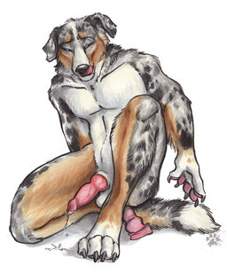 anal anal_penetration animal_genitalia animal_penis anthro balls bodily_fluids canine_genitalia canine_penis claws cum cum_dripping_from_penis cum_on_ground dildo dildo_in_ass dildo_insertion erection finger_claws floppy_ears fur genital_fluids genitals kneeling knot knotted_dildo knotted_penis licking licking_lips male multicolored_body multicolored_fur narrowed_eyes nude nude_anthro nude_male object_in_ass on_one_knee pawpads paws penetration penis sex_toy sex_toy_in_ass sex_toy_insertion simple_background solo tail toe_claws tongue tongue_out white_background blotch scratches_volume_4 canid canine canis collie domestic_dog herding_dog mammal pastoral_dog sheepdog 2010 hi_res traditional_media_(artwork)