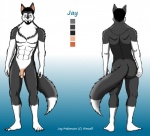 anthro balls butt circumcised color_swatch dipstick_tail eyewear flaccid genitals glasses humanoid_genitalia humanoid_penis leg_markings looking_at_viewer male markings multiple_angles nude penis simple_background socks_(marking) solo tail tail_markings jay_malamute jay_(jay_malamute) alaskan_malamute canid canine canis domestic_dog mammal nordic_sled_dog spitz model_sheet