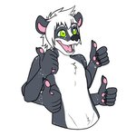 4_arms anthro gesture hand_gesture male multi_arm multi_limb multifur simple_background solo thumbs_up 5h4d0wn3rd juniper_skunktaur mammal mephitid skunk striped_skunk 1:1