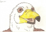 anthro beak brown_body brown_feathers feathers front_view male solo white_body white_feathers jt tyson_eagle accipitrid accipitriform avian bald_eagle bird eagle sea_eagle bust_portrait colored_pencil_(artwork) portrait traditional_media_(artwork)