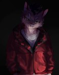 anthro clothing fur green_eyes hair jacket looking_away male shirt solo t-shirt topwear zenonsen nekojishi studio_klondike shu-chi deity felid feline leopard_cat mammal prionailurus 2024 absurd_res hi_res