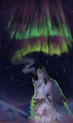 aurora_(phenomenon) black_nose feral fluffy fur grey_body grey_fur howl night quadruped snow solo star whisker_spots alexpahomov arctic_wolf canid canine canis mammal wolf 2022 absurd_res digital_media_(artwork) digital_painting_(artwork) hi_res painting_(artwork)