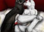 anal anthro duo erection female genitals male male/female nude penis pussy sex tail foxia domestic_ferret mammal mustelid musteline true_musteline weasel