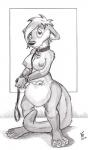 anthro breasts breasts_and_teats collar eyes_closed female fur hair leash nipples nude pouch_(anatomy) pouch_teats pregnant solo teats flinters bouncyotter hybrid kangaroo macropod mammal marsupial mustelid otter 2016 hi_res