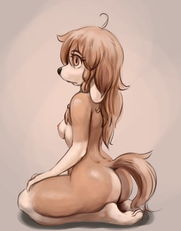 anthro biped breasts butt eyebrows eyelashes feet female hair long_hair nude simple_background solo tail toes alcorart conditional_dnp phoebe_(alcorart) bird_dog canid canine canis domestic_dog hunting_dog mammal spaniel 2026 digital_media_(artwork) hi_res