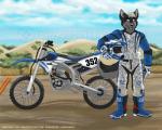 anthro armor biped black_nose boots bottomwear clothed clothing cloud dipstick_ears dirt_bike ear_markings footwear front_view fully_clothed fur gloves green_eyes grey_body grey_fur grey_hair hair handwear headgear helmet hill holding_object looking_at_viewer male motocross motorcycle motorcycle_helmet multicolored_ears open_mouth open_smile pants plant shoes short_hair sky smile solo sport standing tree vehicle lenny_mutt fox_racing canid canine canis mammal wolf 2013 5:4 watermark