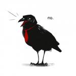 ambiguous_gender beak black_body black_claws black_feathers claws dialogue disapproval feathers feral necktie red_tongue simple_background solo text tongue white_background bombird avian bird corvid corvus_(genus) crow oscine passerine 1:1 2016 english_text lol_comments reaction_image signature