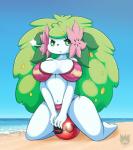 :t anthro anthrofied ball beach_ball big_breasts bikini breasts cherish_ball clothing cloud_emanata emanata eyelashes female flower flower_(anatomy) front-tie_bikini front-tie_clothing front-tie_swimwear green_eyes green_hair hair head_flower inflatable leaf leaf_hair plant plant_hair pokeball pokeball_beach_ball pokemorph pool_toy pseudo_hair seaside short_stack side-tie_bikini side-tie_clothing side-tie_swimwear sitting_on_ball solo string_bikini swimwear tied_bikini tied_clothing two-piece_swimsuit latiar nintendo pokemon elemental_creature flora_fauna generation_4_pokemon land_forme_shaymin legendary_pokemon mammal pokemon_(species) shaymin hi_res