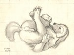 2013 animal_genitalia anthro anus balls butt clawed_fingers claws fur genitals gulonine looking_at_viewer lying male mammal mustelid musteline nude on_back penis penis_tip presenting presenting_hindquarters scale_(artist) sheath sketch solo toe_claws traditional_media_(artwork) wolverine