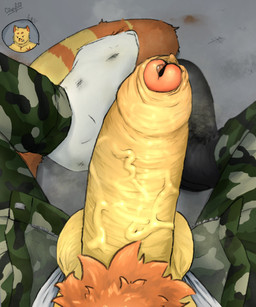 anthro bodily_fluids boots bottomwear bulge camo camo_bottomwear camo_clothing camo_pants camo_print clothing combat_boots dirty dirty_clothing dirty_socks dirty_underwear first_person_view footwear foreskin fur genital_fluids genitals grey_background leaking_precum male orange_body orange_fur pants pattern_bottomwear pattern_clothing pattern_pants penis precum shoes simple_background sitting socks solo tail underwear vein veiny_penis white_clothing white_footwear white_socks yellow_body yellow_fur crispyfox domestic_cat felid feline felis mammal digital_drawing_(artwork) digital_media_(artwork) digital_painting_(artwork) hi_res painting_(artwork)