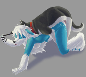 all_fours anthro anthro_on_feral anthro_penetrated bestiality blue_body blue_fur breasts collar doggystyle duo eyes_closed female female_on_feral female_penetrated feral feral_penetrating feral_penetrating_anthro from_behind_position fur genitals hair interspecies leash leash_pull male male/female male_on_anthro male_penetrating male_penetrating_female nude open_mouth penetration penis sex side_boob simple_background schitzofox canid canine canis domestic_dog fox mammal 2013