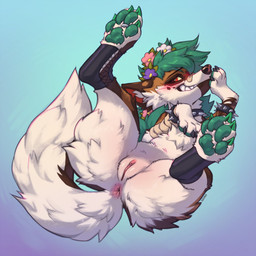 accessory animal_genitalia animal_vulva anus band-aid band-aid_on_face band-aid_on_nose bandage bandage_on_face bandage_on_nose blush bracelet butt claws female feral flower flower_in_hair fluffy fluffy_tail genitals green_claws green_hair green_pawpads hair hair_accessory jewelry pawpads plant red_eyes solo spiked_bracelet spikes tail toe_claws vulva k0ira canid canine canis domestic_dog mammal 1:1 2025 colored digital_drawing_(artwork) digital_media_(artwork) hi_res