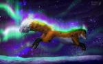 aurora_(phenomenon) feral night outside running snow star fuzzymaro canid canine fox mammal digital_media_(artwork)