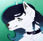 anthro blue_eyes blue_hair collar female fur hair long_hair solo white_body white_fur bumblewish_(artist) canid canine mammal headshot_portrait hi_res portrait