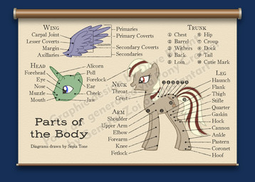 ambiguous_gender anatomy barrel blue_eyes border cannon chart coronet cutie_mark diagram dock_(anatomy) educational feathered_wings feathers feral group hooves horn informative ranged_weapon red_eyes side_view simple_background solo_focus species_sheet standing tagging_guidelines_illustrated tail text the_more_you_know transparent_border weapon wings tomclowder friendship_is_magic hasbro my_little_pony mythology equid equine mammal mythological_creature mythological_equine unicorn alpha_channel biological_illustration digital_media_(artwork) distracting_watermark english_text full-length_portrait model_sheet portrait technical_illustration watermark zoological_illustration