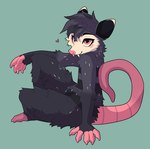 ambiguous_gender anthro bent_legs claws crossed_legs fangs fur hair heart_symbol looking_at_viewer side_view sitting smile solo tail teeth thick_thighs fosbat fosbat_(fosbat) american_opossum mammal marsupial hi_res