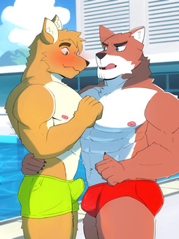 anthro blush brown_body brown_fur bulge clothed clothing detailed_bulge duo erection erection_under_clothing fur looking_down male male/male poolside seductive sky summer swimming_pool swimwear tongue tongue_out yellow_body yellow_fur waterwang canid canine mammal absurd_res hi_res
