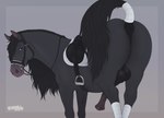 anatomically_correct anatomically_correct_genitalia animal_genitalia animal_penis anus black_body black_fur bridle butt equine_anus equine_genitalia equine_penis erection feral flared_penis fur genitals looking_at_viewer male male_feral mane penis presenting presenting_hindquarters puffy_anus purple_eyes raised_tail reins saddle solo tail tail_anus tail_wraps urethra urethral_fossa wraps fenn.perrox quercu draft_horse equid equine friesian horse mammal hi_res