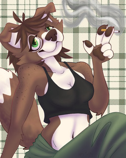anthro athletic black_clothing black_shirt black_topwear bottomwear brown_body brown_fur brown_hair cigarette clothing crop_top drugs facial_tuft female freckled_arms freckled_shoulders freckles fur green_bottomwear green_clothing green_eyes green_skirt hair looking_at_viewer sassy shirt skirt smoking solo stoned substance_intoxication topwear tuft white_body white_fur apple_dapple canid canine canis domestic_dog mammal 4:5 hi_res