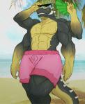 abs anthro beach biceps big_muscles bodily_fluids bottomwear clothed clothing detailed_background eyewear folding_fan male multi_arm multi_limb muscular muscular_anthro muscular_male outside palm_leaves pecs pink_bottomwear pink_clothing pink_shorts sand seaside shorts sky solo spikes sunglasses sweat tail thick_tail topless water kardukk thelionfish lowius alien reptile scalie hi_res