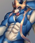 abs anthro anthrofied genitals grey_background male muscular muscular_anthro muscular_male open_mouth pecs penis pokemorph simple_background smile solo teeth tongue small_leaf_art nintendo pokemon canid canine crowned_sword_zacian generation_8_pokemon legendary_pokemon mammal pokemon_(species) zacian 2020 hi_res