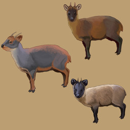 ambiguous_gender black_markings black_nose brown_body brown_fur feral fur grey_body grey_fur group horn markings orange_body orange_fur simple_background tan_background tan_body tan_fur trio agustindiazart deer mammal new_world_deer northern_pudu peruvian_yungas_pudu pudu southern_pudu 1:1 2024 hi_res