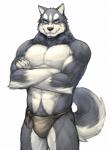 abs anthro asian_clothing athletic biceps big_muscles biped black_nose blue_eyes body_hair bottomwear bulge claws clothed clothing crossed_arms ear_piercing east_asian_clothing fundoshi fur grey_body grey_fur grin happy_trail japanese_clothing kemono loincloth looking_at_viewer male multicolored_body multicolored_fur muscular muscular_anthro muscular_male navel pecs piercing pose simple_background smile solo standing topless two_tone_body two_tone_fur underwear white_background white_body white_fur dudedle rpbbw kemo_coliseum volga_(kemo_coliseum) canid canine canis domestic_dog husky mammal nordic_sled_dog spitz 2013