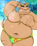 anthro blue_hair blush brown_body brown_fur bulge clothing eyewear fur hair humanoid_hands kemono male moobs navel nipples outside overweight overweight_anthro overweight_male solo sunglasses swimwear tongue tongue_out marumori0619 lifewonders tokyo_afterschool_summoners ganglie_(tas) mammal suid suina sus_(pig) wild_boar 2021 4:5