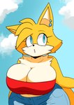 anthro bare_shoulders big_breasts blue_eyes bottomwear breasts clothed clothing cloud crossgender ear_piercing female fur mtf_crossgender multicolored_body multicolored_fur outside pants piercing solo two_tone_body two_tone_fur white_body white_fur yellow_body yellow_fur berkthejerk sega sonic_the_hedgehog_(series) miles_prower canid canine fox mammal 2023 hi_res