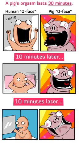 bathroom bed brush cigarette comparison duo furniture male mirror nude open_mouth orgasm orgasm_face pillow smoke smoking teeth text time_lapse tongue toothbrush what the_oatmeal domestic_pig human mammal suid suine sus_(pig) comic digital_media_(artwork) english_text hi_res