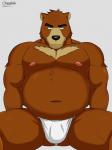 anthro asian_clothing belly biped brown_body brown_fur bulge clothing east_asian_clothing fundoshi fur japanese_clothing male moobs navel nipples overweight overweight_anthro overweight_male sitting solo underwear cheotdo morenatsu juuichi_mikazuki bear mammal 2019 hi_res