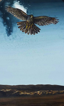 ambiguous_gender brown_body brown_feathers feathers feral gradient_sky grey_body grey_feathers markings multicolored_body multicolored_feathers sky spots spotted_body spotted_feathers spread_wings tail tail_feathers white_body white_feathers wings yellow_legs tuijohnson avian bird falcon falconid karearea 2016 acrylic_painting_(artwork) hi_res mixed_media oil_painting_(artwork) painting_(artwork) traditional_media_(artwork) traditional_painting_(artwork)