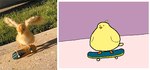 ambiguous_gender avian_feet beak comparison feathered_wings feathers feral grass photo plant shadow skateboard skateboarding solo tail tail_feathers vehicle wings young young_feral keke_(artist) avian chick animated frame_by_frame short_playtime